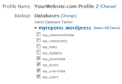 Settings: Domain Profiles: Database Tables